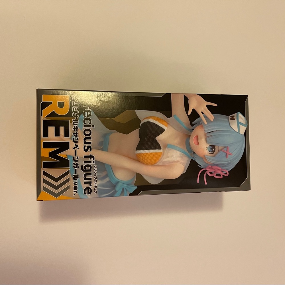 REM figure